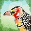 Birder icon