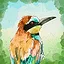 Birdfull Expert icon