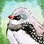 Egg Catcher icon