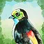 Bird Cupid icon