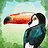 Bird Friend