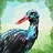 Ornithologist