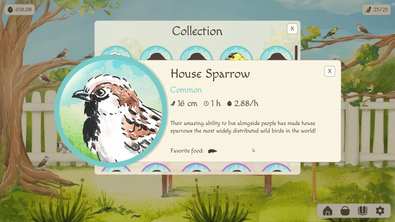 Birdfull Screenshot 4