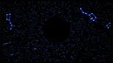 Dimension Warrior Screenshot 4