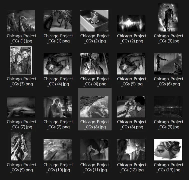 Chicago Project Illustrations Screenshot 0