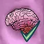 Sanity Check icon