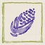 Come play, Ana Chan! icon