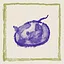 Try to follow me, Ana! icon