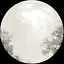 天灵珠 icon