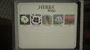 The Flower Inspector Screenshot 3