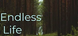 Endless Life