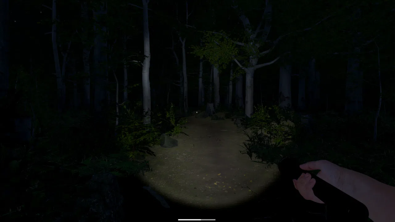 The Greys: Human Abductions Screenshot 8