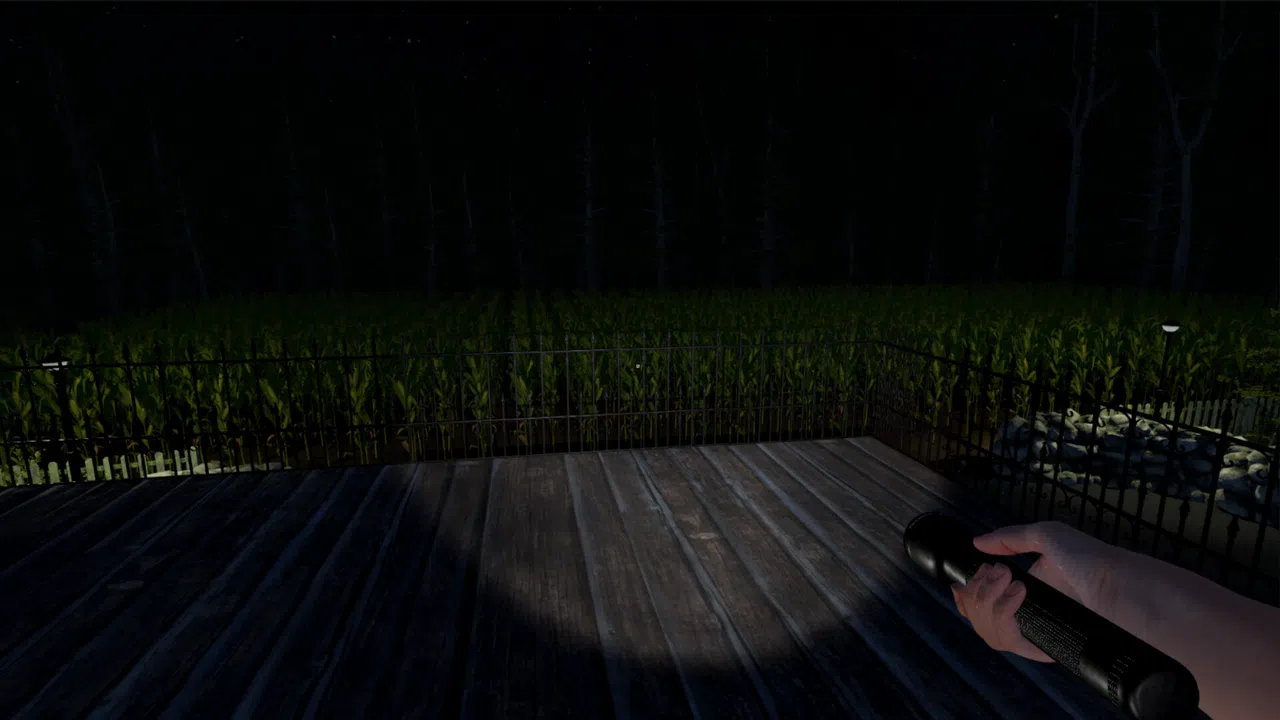 The Greys: Human Abductions Screenshot 13