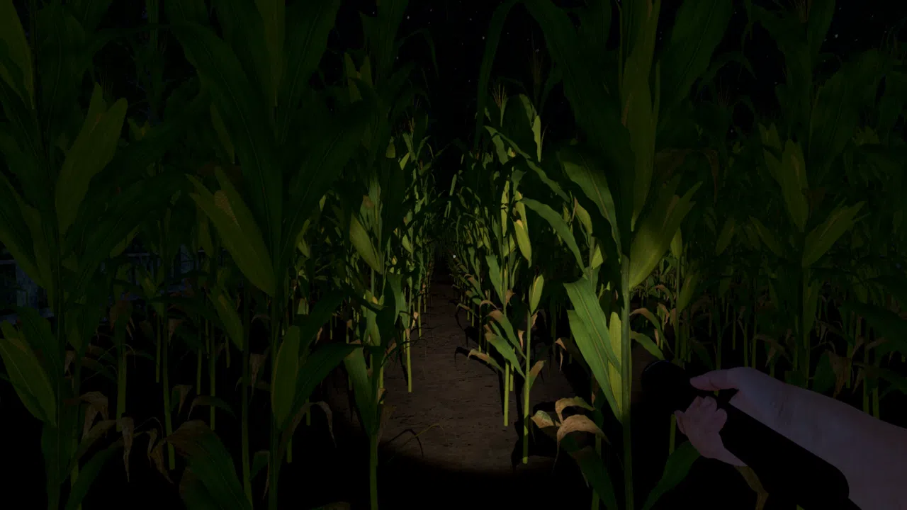 The Greys: Human Abductions Screenshot 6