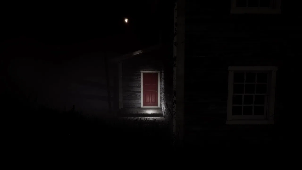 The Disappearance of Emily Crowe Screenshot 8