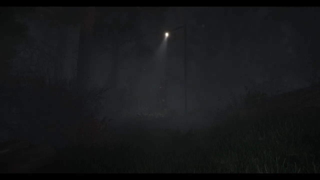 The Disappearance of Emily Crowe Screenshot 0