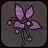 Rose and Cocoon
