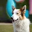Dog’s Day Out icon