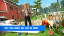 Bad Granny Little Thief Screenshot 3
