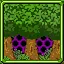 Grassy Knoll icon