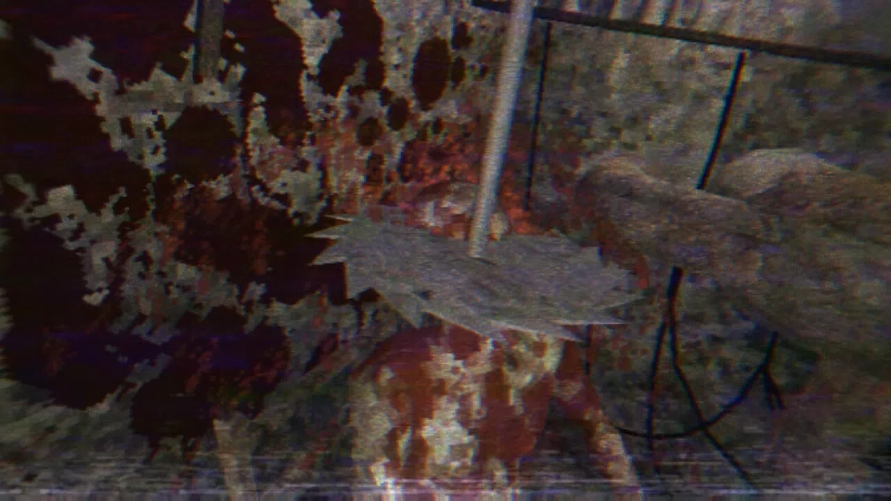 Ines Screenshot 9
