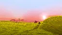 MIRO Demo Screenshot 0