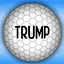 Trump icon