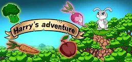 Harry's Adventure