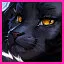 Level 13 icon