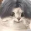 KunKun icon