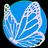 The Butterfly Gleams