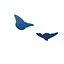 Social Butterfly icon