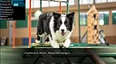 My Puppy Screenshot 2