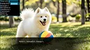 My Puppy Screenshot 8