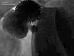 Beneath Her Gaze Screenshot 4