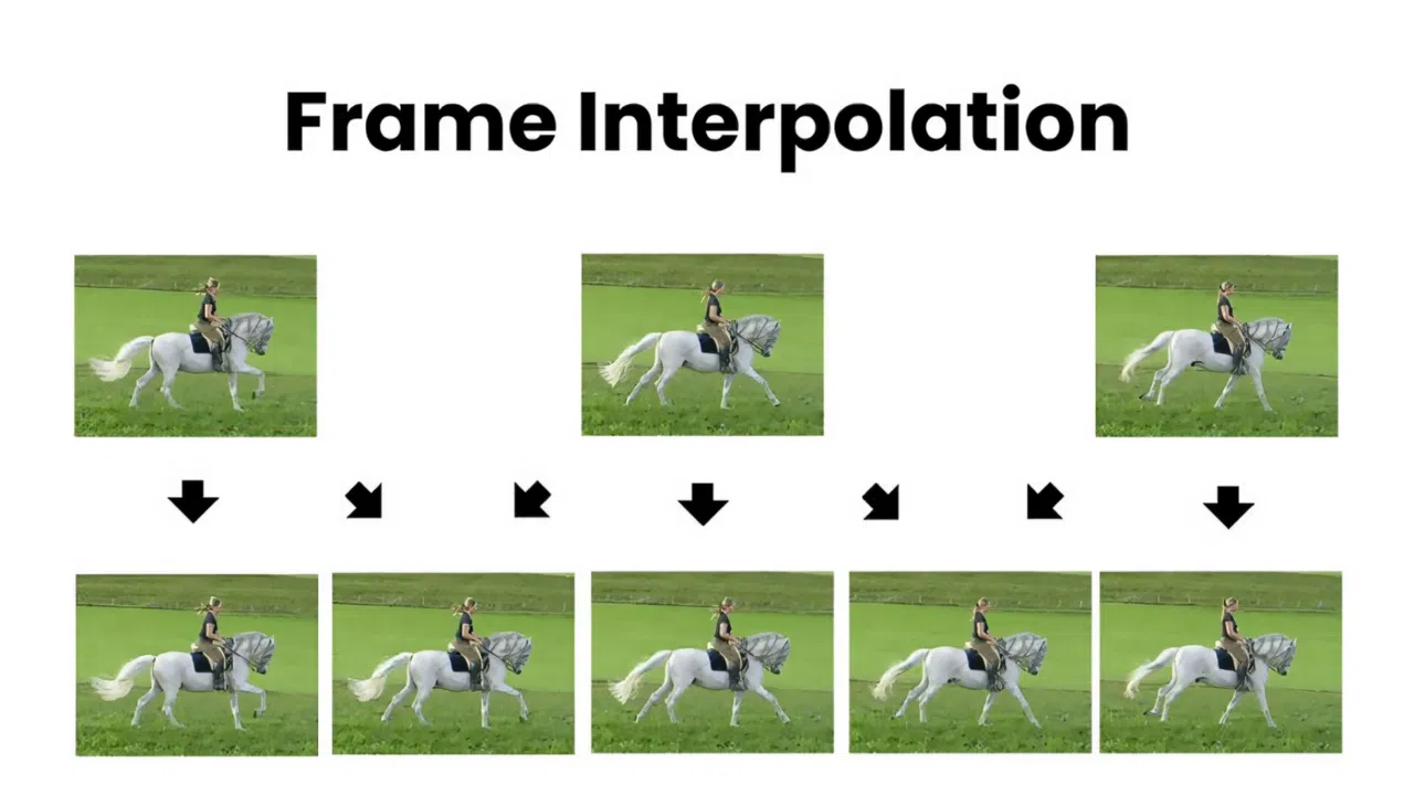 FluidFrames Screenshot 1