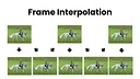 FluidFrames Screenshot 1