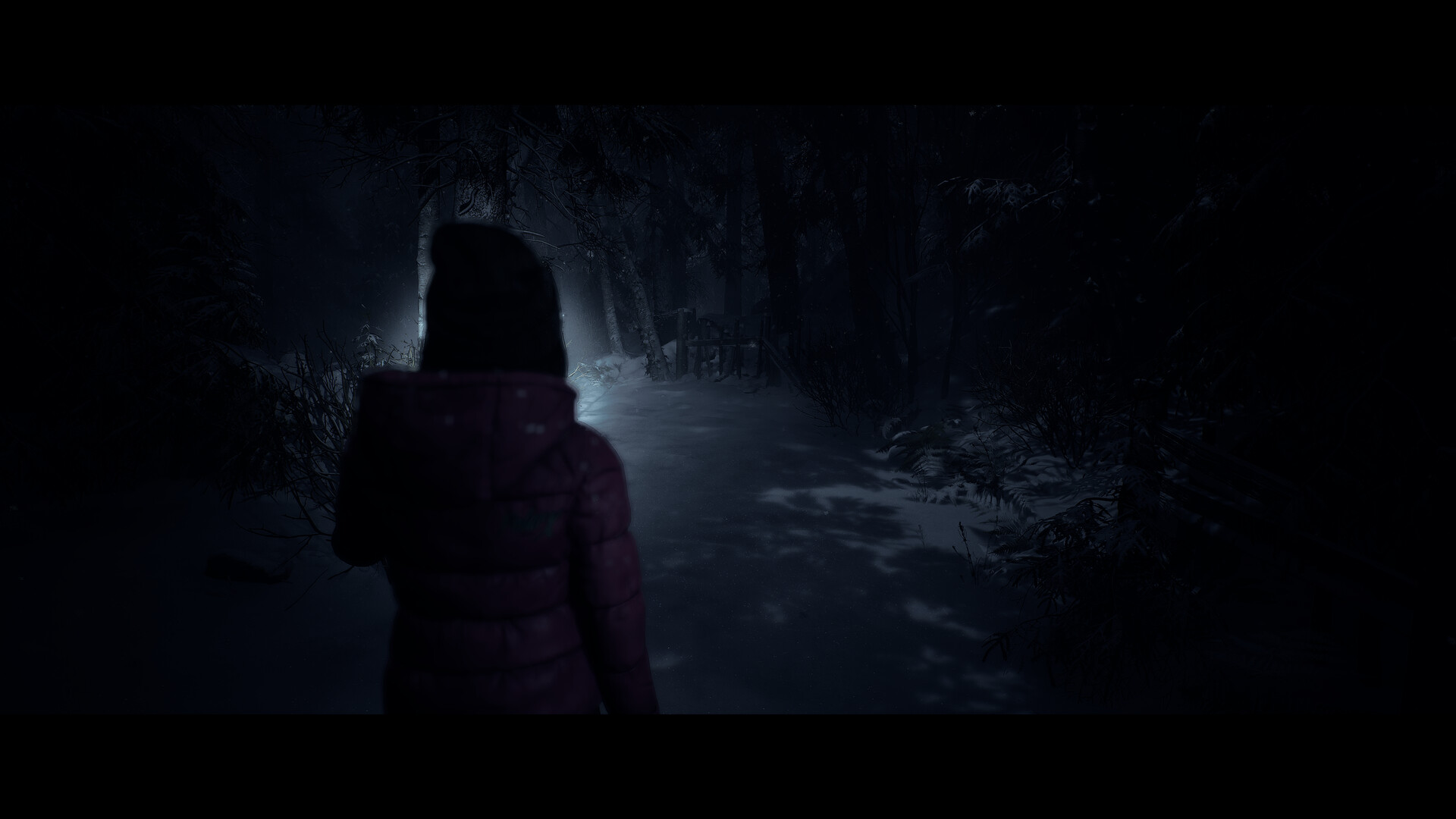 Until Dawn™ Screenshot 10