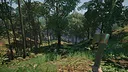 South America Gold Rush Screenshot 7