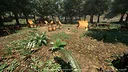 South America Gold Rush Screenshot 15