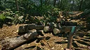 South America Gold Rush Screenshot 6