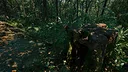 South America Gold Rush Screenshot 4