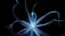 Hydra Coil Screenshot 1