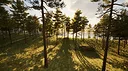 Identity Test Screenshot 4