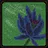 Death Blossom