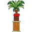 Fernanda icon