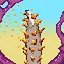 First Sporangium icon