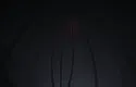 ∆ Demo Screenshot 3