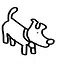 Nova icon