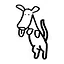 Pepper icon